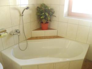 Koupelna v ubytování Ferienwohnung Hörbiger + 17 fotografií
