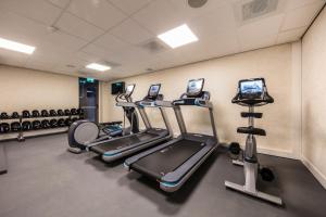 een fitnessruimte met diverse loopbanden en cardio-apparatuur bij Monet Garden Hotel Amsterdam in Amsterdam +37 foto's