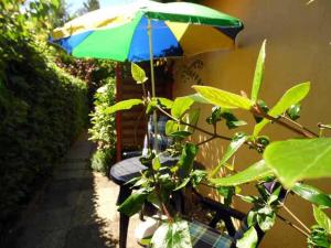 Ein Garten an der Unterkunft Ferienappartements Haus Fischersruh