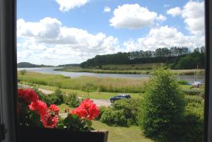 a view of a lake from a window with flowers at Ferienappartements unterm Reetdach in Sandort