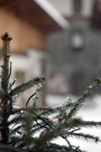 Fotografie z fotogalerie ubytování Maison Cassius v destinaci Issogne