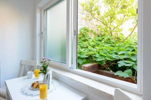 Vonkajšia záhrada v ubytovaní Leona Apartments