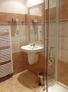 a bathroom with a sink and a shower at Penzion, apartmany Florian in Horní Blatná