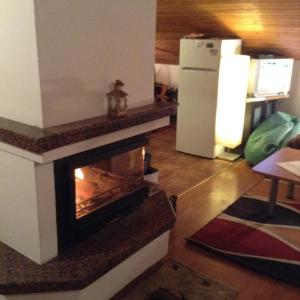 ein Wohnzimmer mit einem Kamin und einem Kühlschrank in der Unterkunft Rooftop flat in Bansko