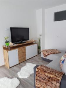 Televiisor ja/või meelelahutuskeskus majutusasutuses Ferienwohnung Colleen