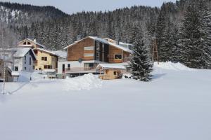 una casa grande en la nieve con árboles en Haus Walter, en Filzmoos