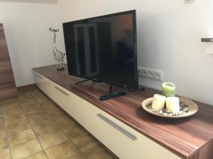 TV a/nebo společenská místnost v ubytování Apartment Am Sudbach