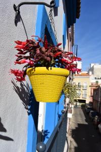 Fotografia z galérie ubytovania Casa Al Sur Apartments v destinácii Málaga