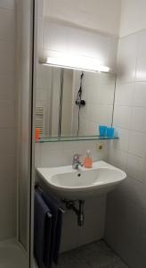 a bathroom with a white sink and a mirror at Charming, central, spacious apartment in Innsbruck
