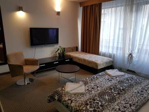 Televízia a/alebo spoločenská miestnosť v ubytovaní Imperial Suites