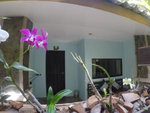 Zahrada ubytování Simple Life Resort Koh Tao