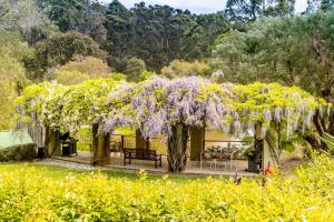 
a garden filled with lots of flowers and plants at Grand Mercure Basildene Manor in Margaret River Town
