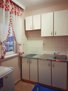 A kitchen or kitchenette at Apartmani Banja SPA