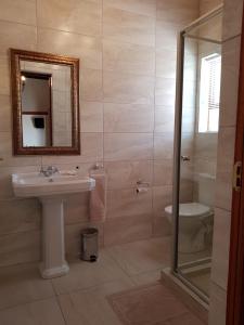 a bathroom with a sink and a toilet and a mirror at Uniondale Manor Guesthouse in Uniondale