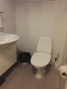 a bathroom with a white toilet and a sink at Savonlinnan Kristillinen Opisto - Wanha Pappila in Savonlinna