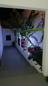 a view of a room with plants and lights at Casa Villalba in San Bartolomé