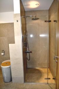 a shower with a glass door in a bathroom at Chasa Miramunt 7 in Scuol