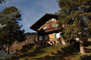 a large wooden house on a hill with trees at Chalet Trü in Scuol