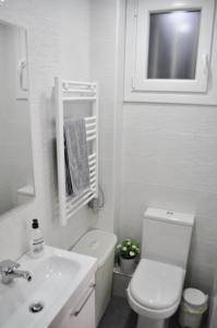 マドリードにあるTHE VIKING HOUSE in the Center of Madrid. WIFI.の白いバスルーム(トイレ、シンク付)