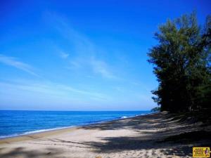 Gallery image of Micky Monkey Beach Hotel Phuket Maikhao Thailand in Mai Khao Beach