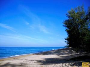 a beach with trees and the ocean on a sunny day at Micky Monkey Beach Hotel Phuket Maikhao Thailand in Mai Khao Beach