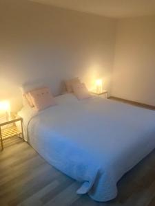 ein Schlafzimmer mit einem großen weißen Bett mit zwei Lampen in der Unterkunft Molenaarswoning in Beek