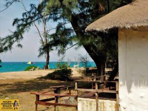 Micky Monkey Beach Hotel Phuket Maikhao Thailand في شاطئ ماي خاو: كوخ على شاطئ به شجرة ومحيط