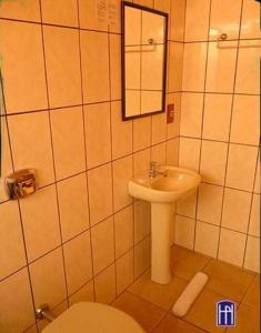 a bathroom with a sink and a toilet and a mirror at Hotel Primavera in Bento Gonçalves