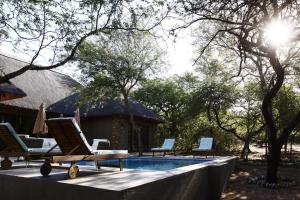 a group of lounge chairs next to a swimming pool at Luvivane Luxury Villa in Marloth Park