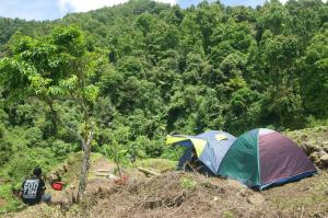 a tent on a hill next to a forest at Bule Homestay Cianjur in Cianjur