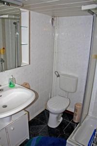 ヴァーレンにあるFerienhaus Waren SEE 7641の小さなバスルーム(トイレ、シンク付)
