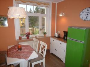 德勒斯登的住宿－德累斯頓霍豪斯度假屋，厨房配有桌子和绿色冰箱。