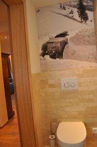 bagno con servizi igienici e una foto appesa al muro di Appart Weißschrofenspitze a Sankt Anton am Arlberg