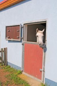 Galeriebild der Unterkunft Ferienwohnung Groß Quassow SEE 7841 in Userin