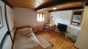 a living room with a couch and a television at Messezimmer Laatzen APO 1 in Hemmingen