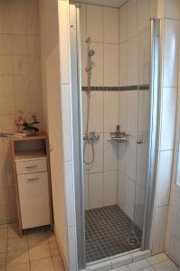KrumminにあるFerienwohnung Krummin USE 2981のバスルーム(ガラスドア付きのシャワー付)