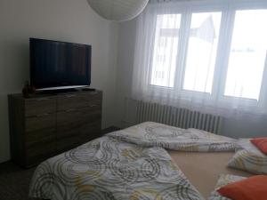 Posteľ alebo postele v izbe v ubytovaní Apartmán u Klínovce