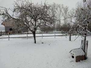 B&B De Vossenbarm v zimě