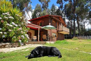 a black dog laying in the grass in front of a house at The Lazy Dog Inn a Mountain Lodge in Huaraz