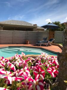 a swimming pool with a bunch of pink flowers at 10 on Beresford in East London