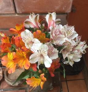 Fotografie z fotogalerie ubytování Posada Junco y Capuli v destinaci Huancayo