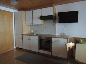 Kuchyňa alebo kuchynka v ubytovaní Appartements Karin Mitten im Grünen