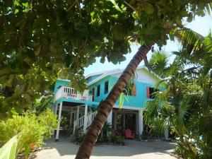 a blue and white house with a palm tree at The Bottle Tree House in Caye Caulker