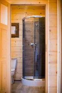 a bathroom with a shower and a toilet at Domki Drewniane Przystań Kajaczek in Białobrzegi