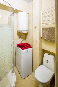 ein kleines Bad mit WC und Waschbecken in der Unterkunft Alfa Apartments Balabana 20 in Lwiw