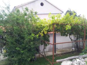 Fotografie z fotogalerie ubytování Grmov house v destinaci Miholašćica