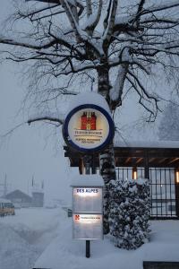 Hotel Des Alpes - Restaurant & Pizzeria v zimě