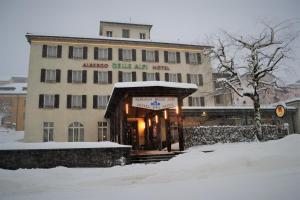 Hotel Des Alpes - Restaurant & Pizzeria v zimě