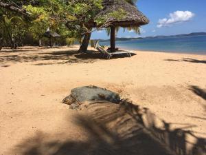 un animal mort pondant sur une plage de sable dans l'établissement Eden Lodge, à Madirokely