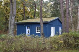 青斯特的住宿－chalet Zingst，树林里的一个蓝色棚子,树丛里